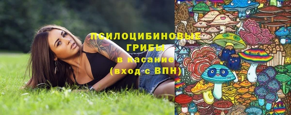 круглые Армянск