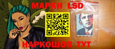гидра Камышлов