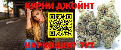 гидра Камышлов