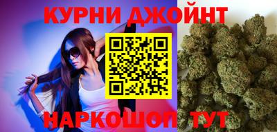 гидра Камышлов