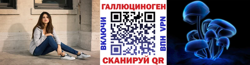 Псилоцибиновые грибы Cubensis  где можно купить наркотик  Менделеевск 