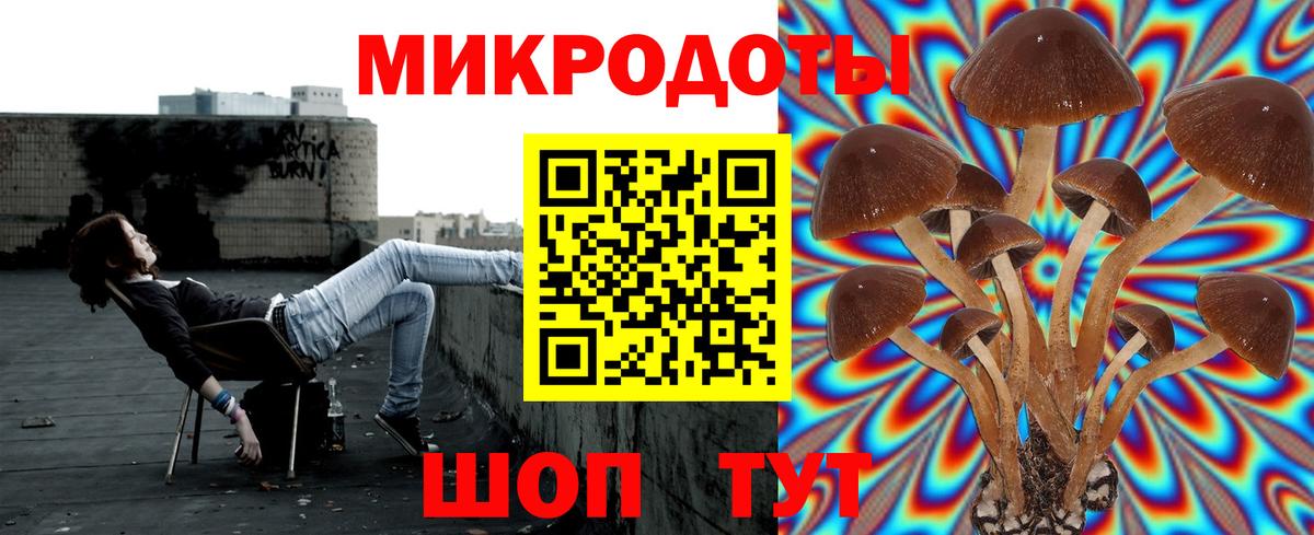 Галлюциногенные грибы Psilocybine cubensis  Вход с VPN  Менделеевск 